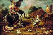 Paul de Vos The fight between a turkey and a rooster. oil painting
